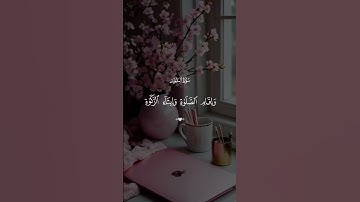 قران كريم راحة نفسية #راحة #اكسبلور #المصحف #vairal #قران_كريم #قرآن #الرحمن #الله