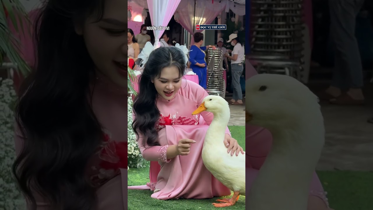 Chú vịt bim bim gần 7 năm đã giúp thay đổi tương lai của chủ  