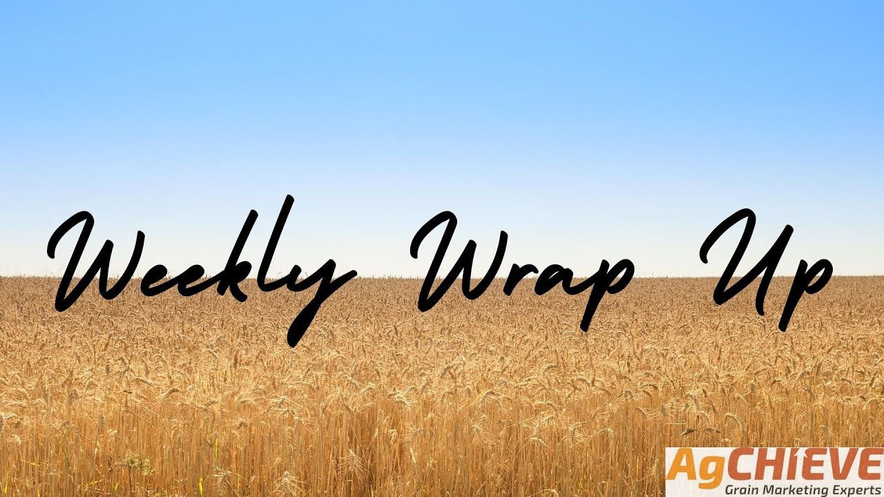 Weekly Wrap Up - Friday August 26, 2022 - YouTube