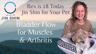 Rex is 18 Today! Jin Shin for Your Pet 🙌 Bladder Flow for Muscles & Arthritis