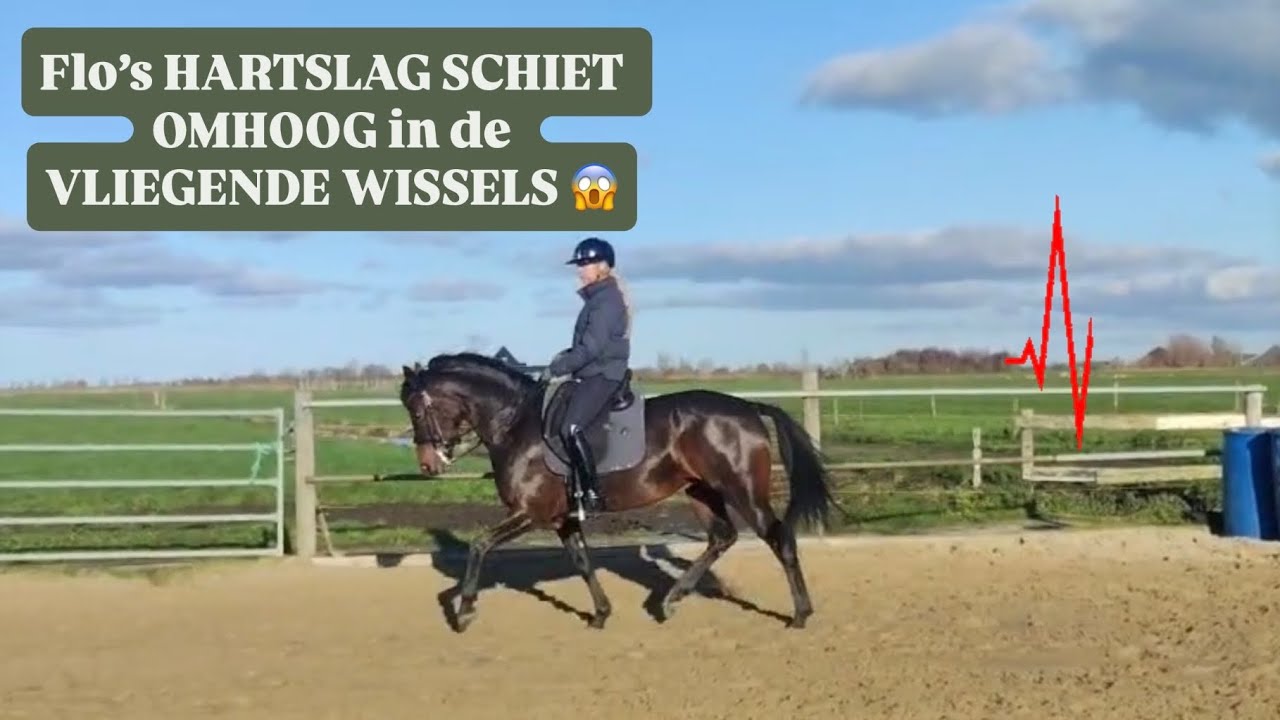 IS FLO GEZOND? + NAAR DE MEEST LUXE CHAMPAGNEHUIZEN VOOR WERK 🇫🇷  