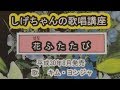 「花ふたたび」しげちゃんの歌唱レッスン講座/キム・ヨンジャ 平成30年8月1日発売