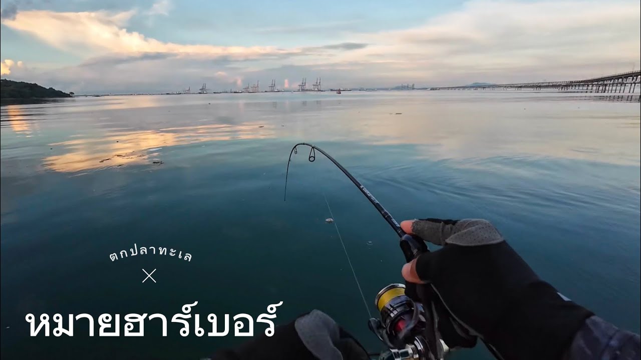 หมายตกปลาทะเล ฮารเบอร์ ศรีราชา ชลบุรี#ตกปลาทะเล #fishing #หมายตกปลาทะเล #fish #ตกปลาทะเลชายฝั่ง #ปลา