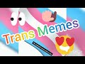 back at it again with the trans memes