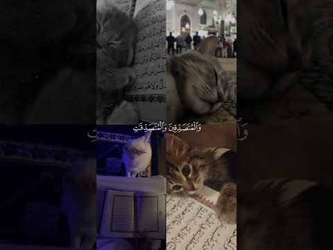 إ ن ال م س ل م ين و ال م س ل م ات تلاوة خاشعة 