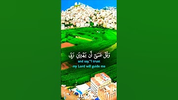 تلاوة تفوق الوصف بصوت يريح الأعصاب #elmulquranعلم #تلاوة #قران_كريم #المصحف #اكسبلور #لايك