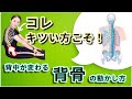 硬さの原因‥実は◯◯していなかったから⁉︎腰,背中,姿勢も変わる”背骨”の動かし方｜206