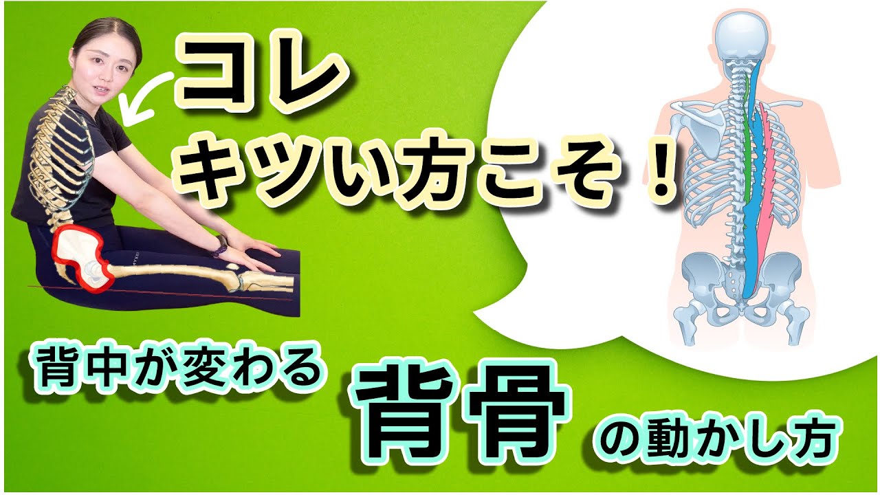 硬さの原因‥実は◯◯していなかったから⁉︎腰,背中,姿勢も変わる”背骨”の動かし方｜206