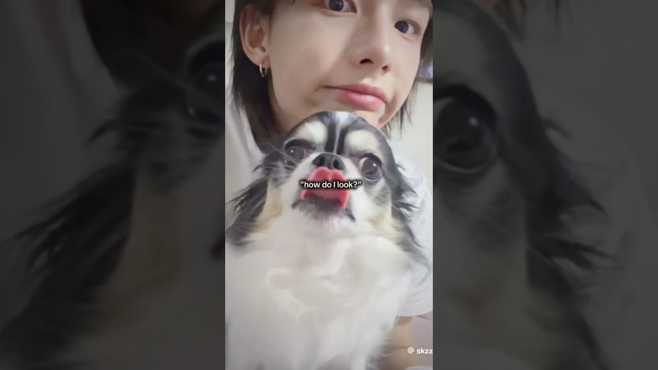 Keşfettim ölmüş av keşfetimi geri verin lağn 