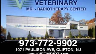 Veterinary Advanced Diagnostic Imaging