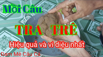 Câu Cá TV Mồi câu cá!cá tra,cá trê, đơn giản - hiệu quả và Vi Diệu || Bài mồi mới