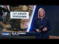 Crackdown on cat ownership for Pierce County couple