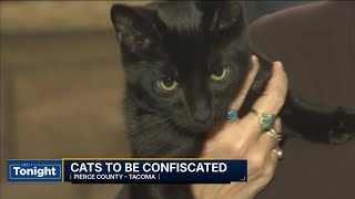 Crackdown On Cat Ownership For Pierce County Couple