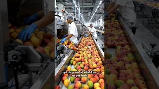 Mango Juice Really Real Mango? 🥭 #FoodFacts 🧃 #sciencefacts