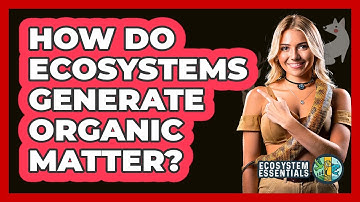 How Do Ecosystems Generate Organic Matter? - Ecosystem Essentials