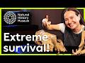 How are camels adapted to survive in the desert | A closer look at camels