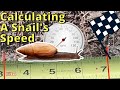 Measuring a Snail&#39;s Speed