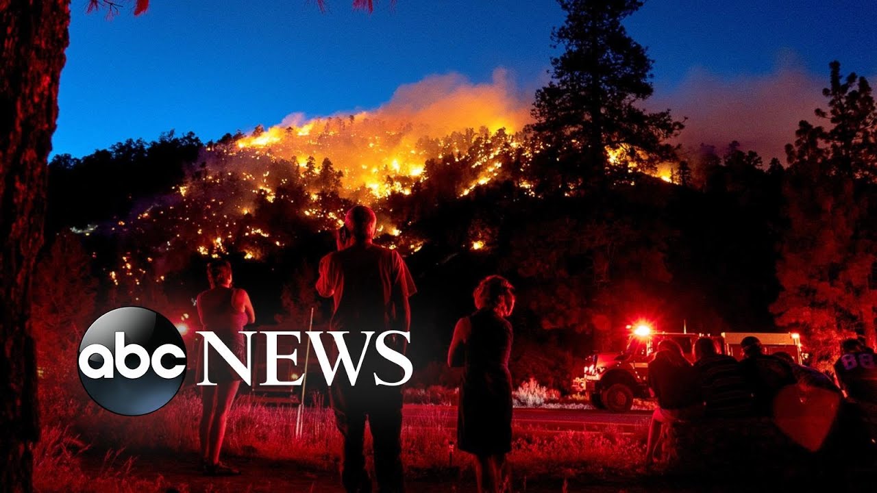 Sheep Fire, gun violence rally, Jan. 6 hearing: World in Photos, June 13