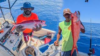 Catching And Selling Queen Snappers | Commercial Fishing Offshore For Red Fish