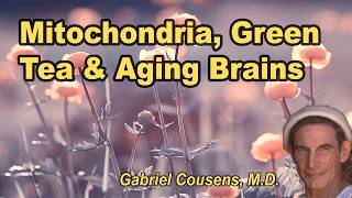 Mitochondria, Green Tea, and Aging Brains with Gabriel Cousens, M.D.