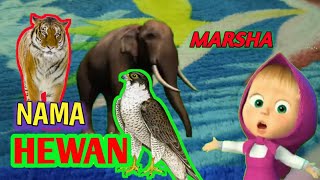 BELAJAR MENGENAL NAMA HEWAN BESERTA SUARANYA BERSAMA MASHA and THE BEAR | KUCING TOM LUCU
