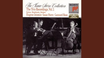 Piano Trio No. 3 in C Minor, Op. 101: III. Andante grazioso