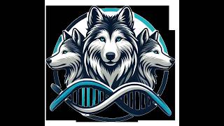 Wolf Pack DNA