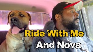 Coffee With ZuLand ☕️🐾: Come Take a Ride With Me, Why I Progesterone Test My Boerboel