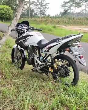 story'wa herex Tiger seris terbaru