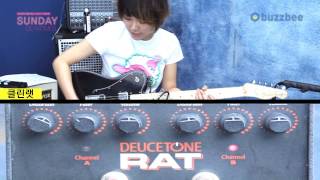 Pro Co 이펙터 Distortion Deucetone RAT - YouTube