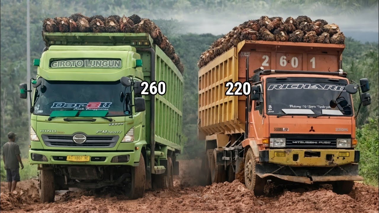 Yang Kalian Cari ‼️ Hino Lohan Tenaga Lebih Besar Dibuat Tak Berdaya Dihadapan Sang Raja Fuso Oren