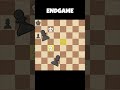 💀 No Rest When the KNIGHT is Active♟️ #shorts #chess