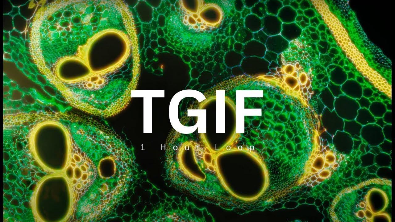 [1 Hour Loop] XG - TGIF - YouTube