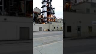 My Mom Molly The Dog Are Walking. Music.