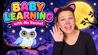 Learning with Ms Rachel Halloween | Videos for Toddlers | Kids Songs - BABY Video