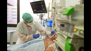 "Un poumon artificiel" : la Française contaminée par l'hantavirus dans un état très grave