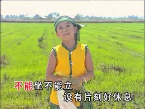 Q Genz 巧千金 插秧歌 小木偶奇遇记 Official MV