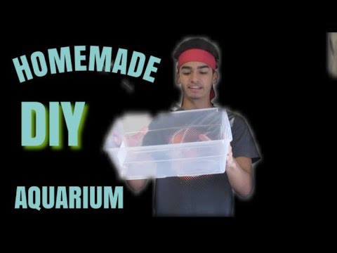 Homemade DIY plastic container aquarium