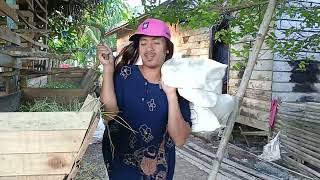 Download Lagu cinta tanpa batas ...... MP3