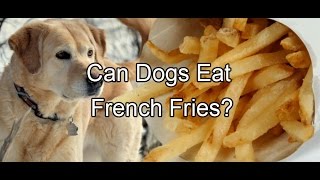 Can dogs eat french fries?