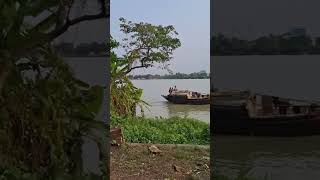 nadiya kinare humra bagan 🌿🦋🌿🦋#subscribe #viral #shorts