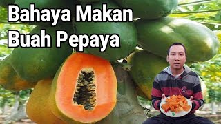 Ada Segudang Manfaat, Ternyata Buah Pepaya Juga Berbahaya jika Berlebihan