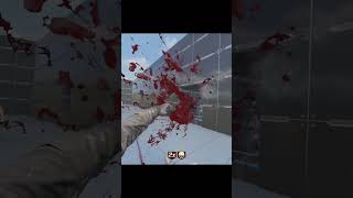 COD BO3 Custom Zombies
