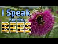 I Speak For The Bees