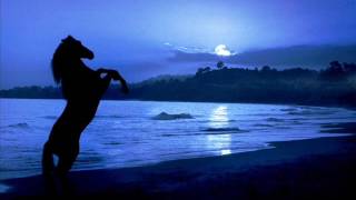 #TRAD_ZONE Chicane feat. Moya Brennan - Saltwater (Kryder Remix)