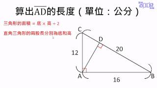 三角形- (22)直角三角形面積的進階計算題