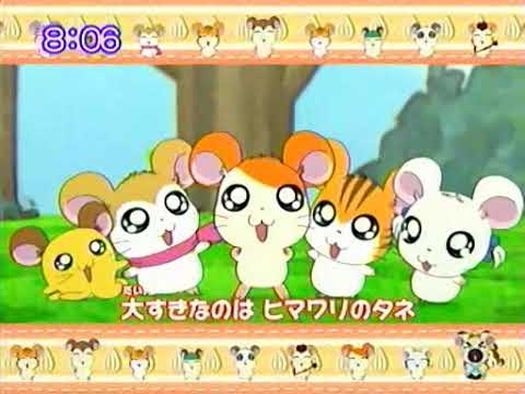 Tottoko Hamutaro Hai TV Tokyo Intro