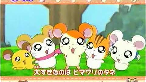Tottoko Hamutaro Hai! (TV Tokyo Intro)