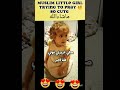 ماشاءالله اللهم صل على سيدنا محمد Little Girl Praying Shorts2023 Muslim Littlegirl Babygirl 
