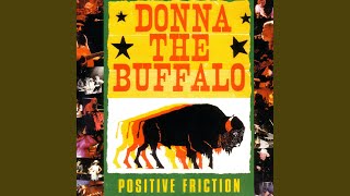 Vignette de la vidéo "Donna the Buffalo - In Another World"